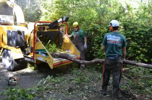 tree services College